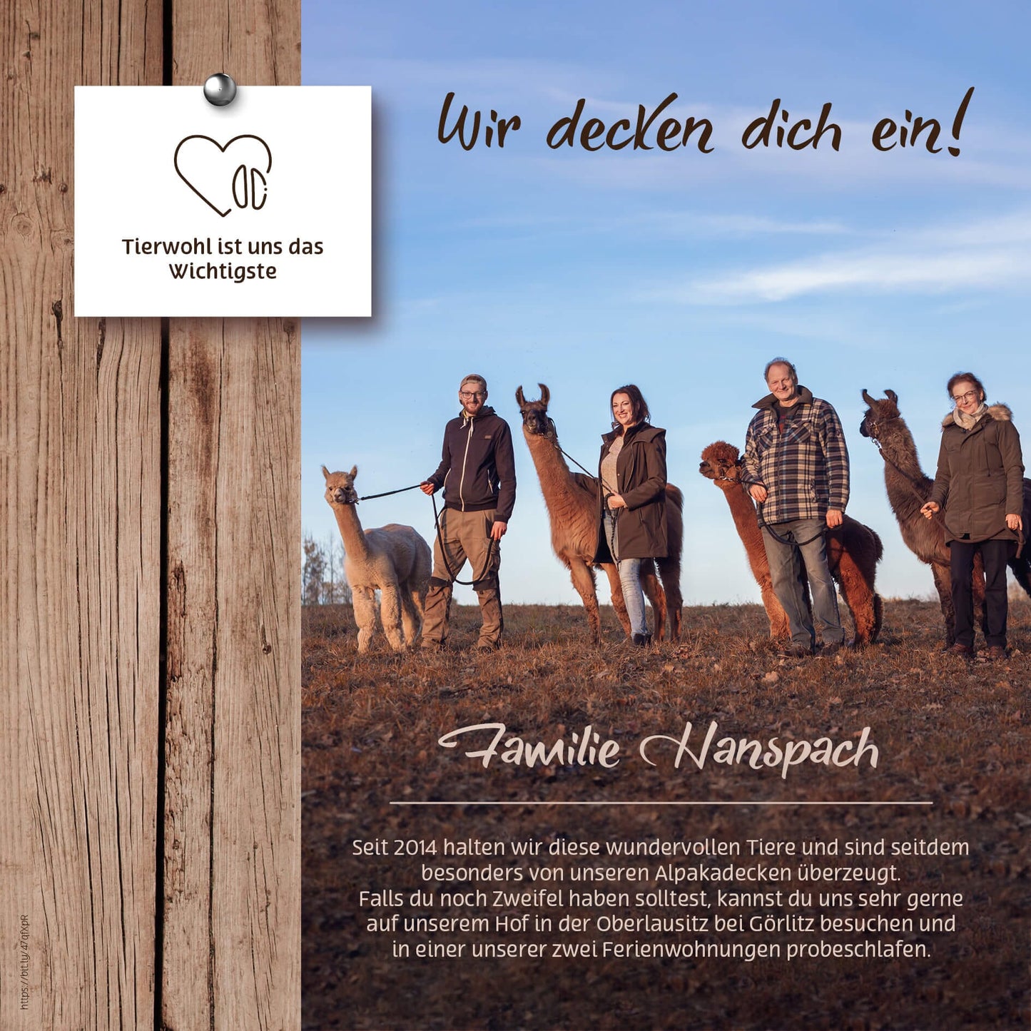 Alpaka 4-Jahreszeitendecke Bettdecke