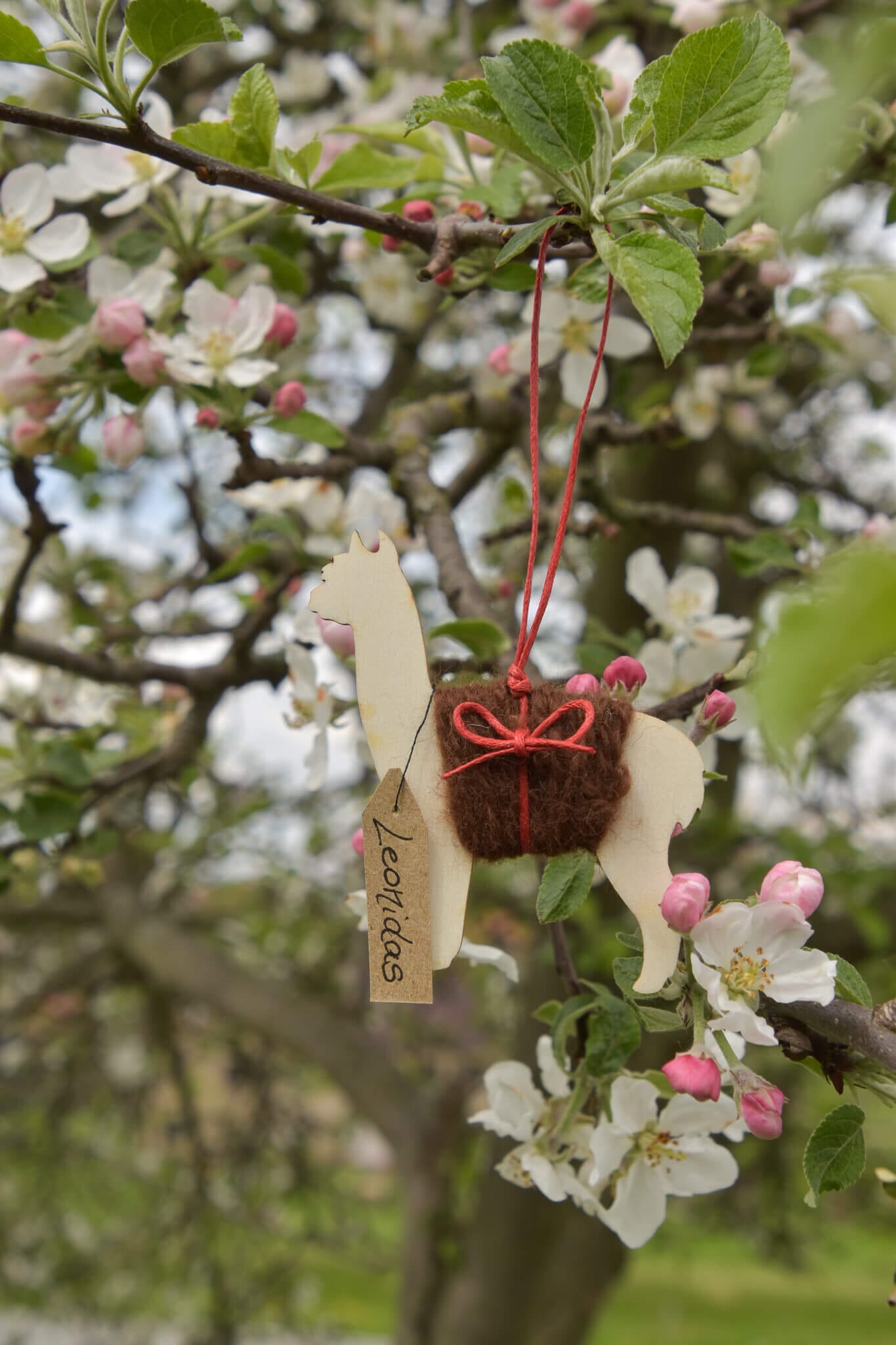 Ein Souvenir von deinem Lieblingstier Dekoartikel