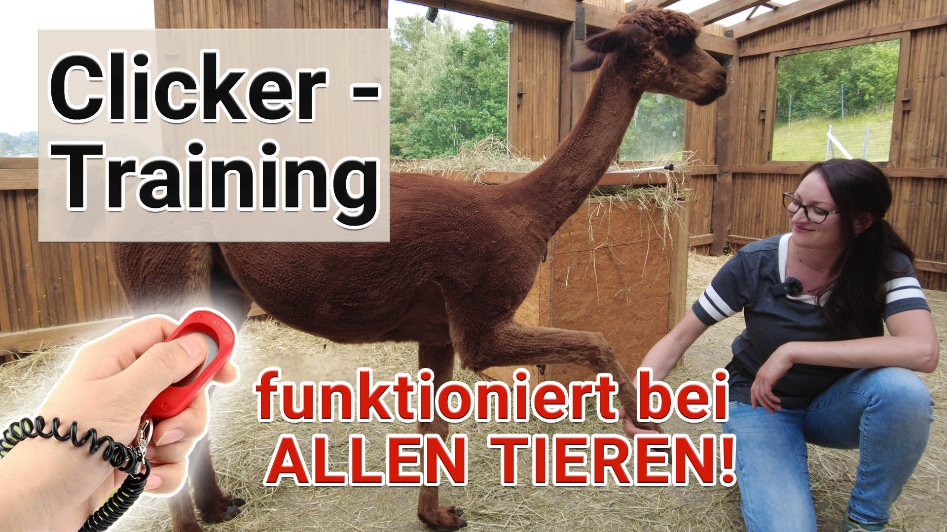 Video laden: 