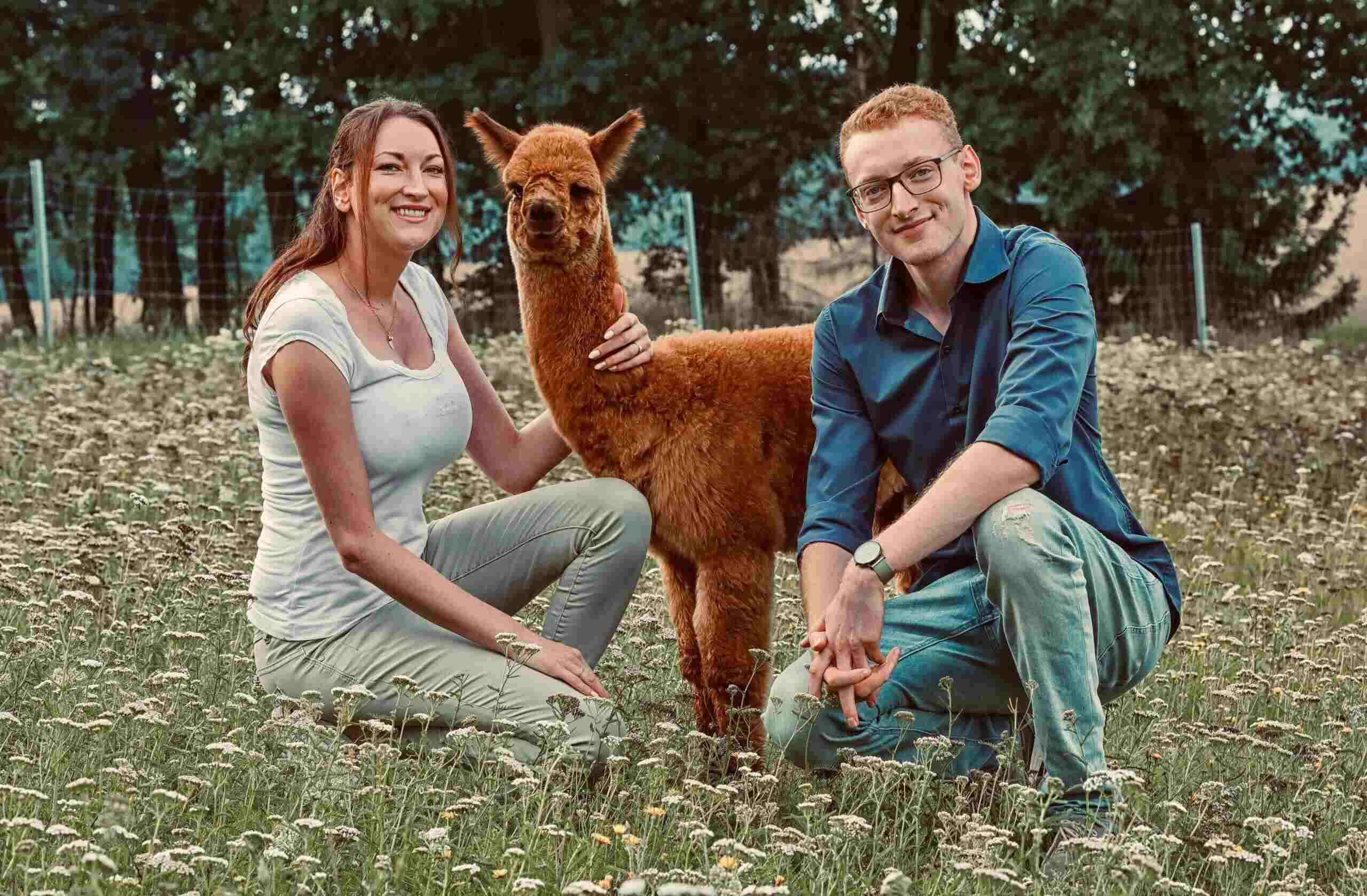 Ein junger Mann und eine Junge Frau hocken mit einem Alpaka-Fohlen auf einer weitläufigen Wiese voller Scharfgarbe im Sommer.