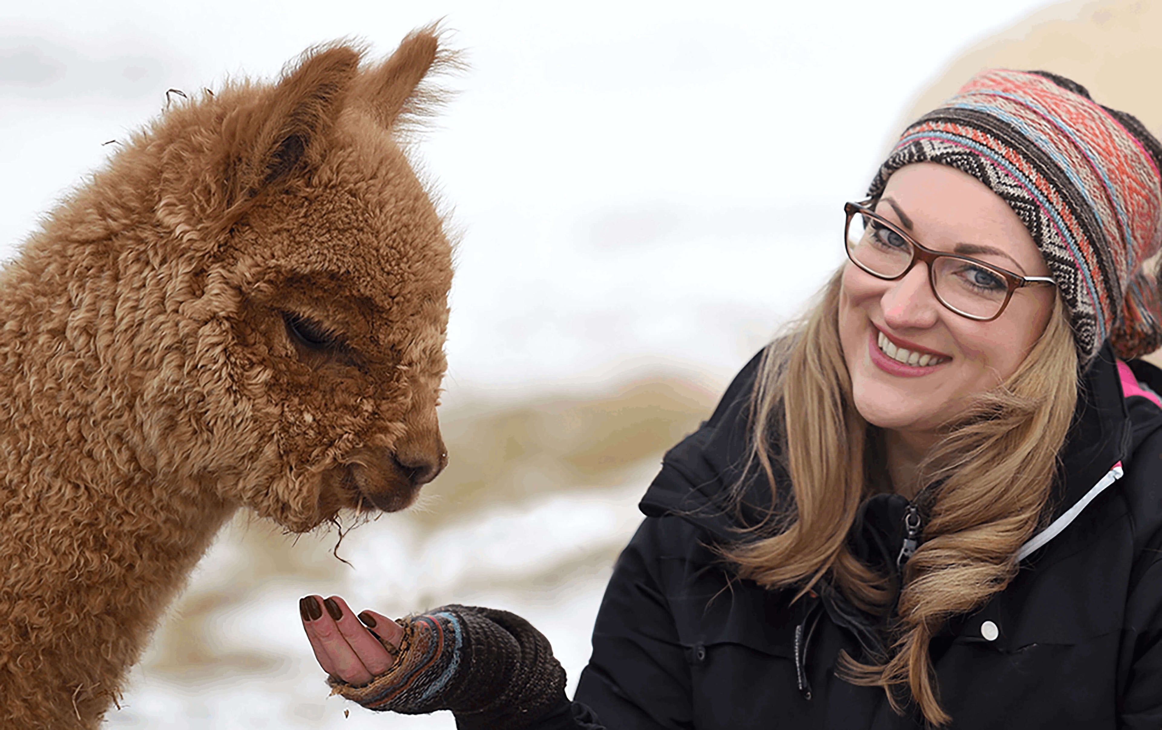 Eine Frau lächelt den Betrachter an und hält dabei eine Hand mit Futter zu einem braunen Alpaka hin. Im Hintergrund ist erkennbar, dass gerade Winter ist und Schnee liegt.