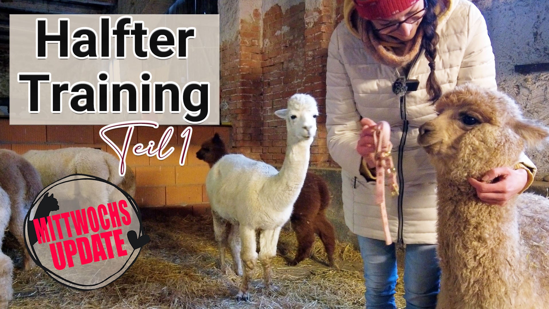 Video laden: 