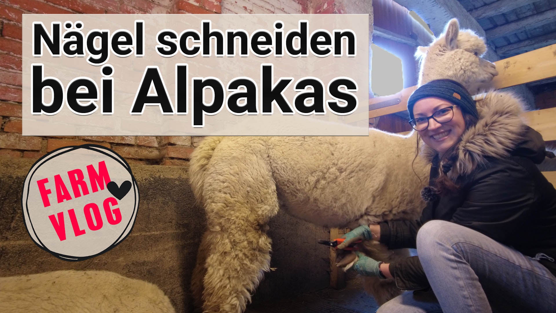 Video laden: 