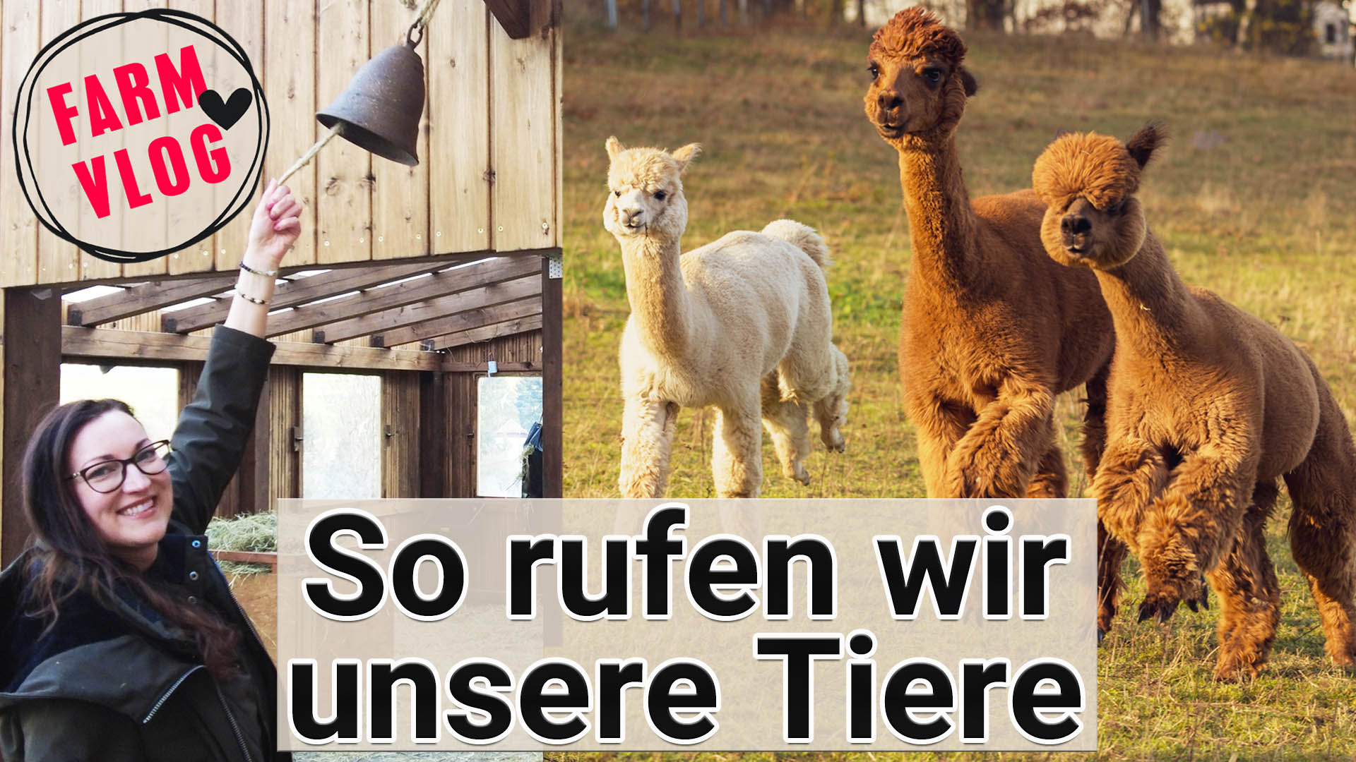 Video laden: 
