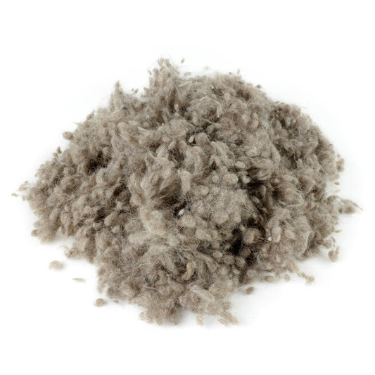 500g Alpakawolle gewaschen für Kissen