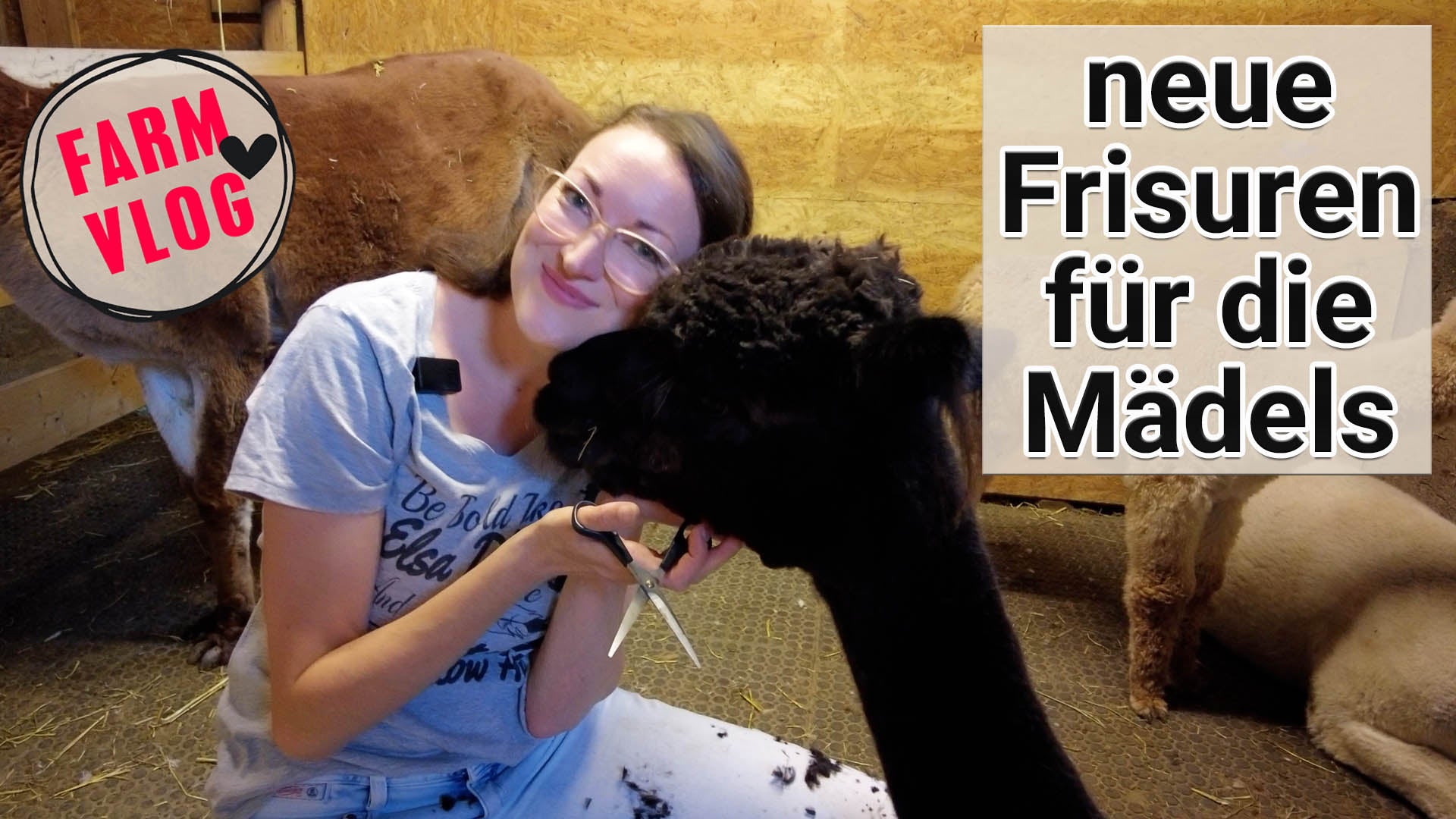 Video laden: 